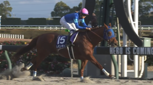 レモンポップ、サウジC参戦！