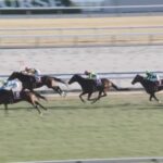 【日経新春杯2024】結果・動画/ブローザホーンが外から差し切る