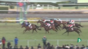 【AJCC 2024】結果・動画/チャックネイトがハナ差の接戦を制す