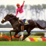 史上最低の三冠馬ナリタブライアン、メモリアルヒーローなれずww