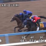 【中山記念2024】追い切り/動きを見極め勝利に近づけ