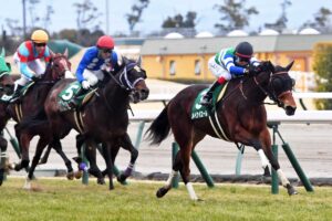 メイケイエール、現役続行で京都牝馬Sで復帰へ! 復活勝利なるか
