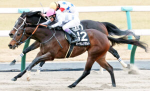 オーサムリザルドってダート歴代牝馬最強じゃね?
