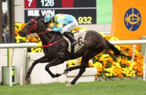 香港G1馬ビクターザウィナー、高松宮記念参戦がほぼ確定