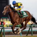 ソールオリエンス次走は中山記念