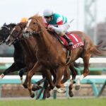 日本馬がここ数十年で大きく能力進化した理由
