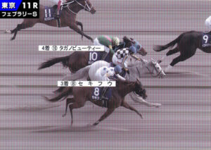 【悲報】フェブラリーS3着セキフウ、右前浅屈腱炎　全治は9か月以上