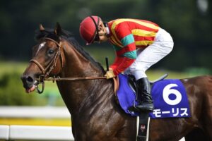 モーリス産駒の買い時