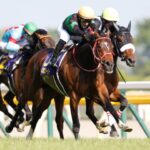 騎手変えたら激変した馬といえば?