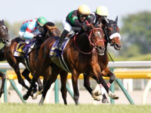 騎手変えたら激変した馬といえば?