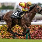 ジャスティンカフェ坂井流星さん何故か叩かれない。