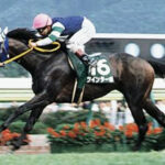 1番好きな逃げ馬