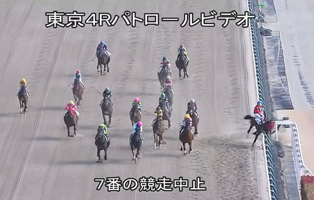 【東京4R】三浦皇成、馬が内埒激突で落馬も無事の模様
