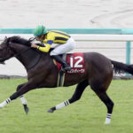 【競馬予想】[2]第74回東京新聞杯(GⅢ) /2024