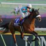 2018ジャパンカップと2020JCにイクイノックスがいたらどうなってた？