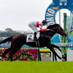 【最新】牡馬クラシックランキング