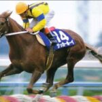 強いG1二勝馬といったらイメージする馬