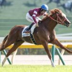 シンエンペラー、川田との新コンビで弥生賞参戦