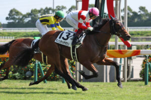 4歳世代もしかしてヤバいのか？