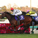 【ドバイターフ】ドウデュースvsナミュールvsブレイディヴェーグvsダノンベルーガvsロードノース