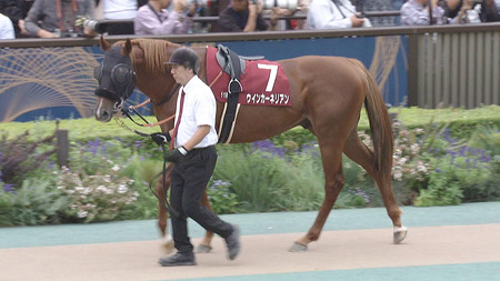 ウインカーネリアン高松宮記念へ 三浦ついにG1制覇か