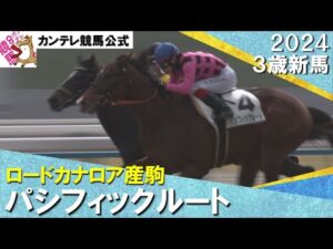 《2024年 新馬》池添騎手「フットワークや背中の感じはいい」パシフィックルートが競り合いを制す！　1月28日(日)京都芝2000ｍ【カンテレ公式】