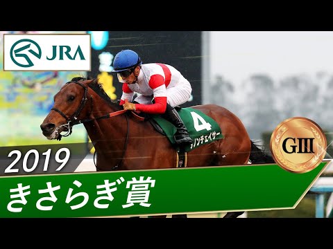 2019年 きさらぎ賞（GⅢ） | ダノンチェイサー | JRA公式