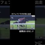 カフェファラオが芝に出走!?結果はいかに…