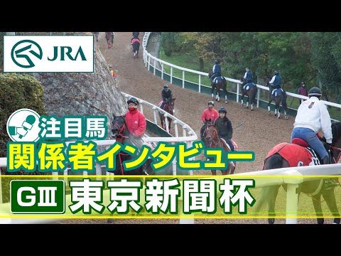 【注目馬 関係者インタビュー】2024年 東京新聞杯｜JRA公式