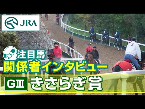 【注目馬 関係者インタビュー】2024年 きさらぎ賞｜JRA公式