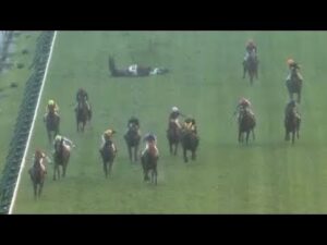 悪天候の中でナムラメーテルが落馬