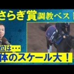 【人気のビザンチンドリームランク外・・・】競馬エイト・高橋賢司トラックマンの調教解説<きさらぎ賞(GⅢ)>