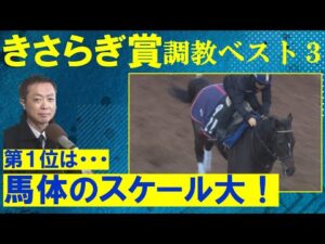 【人気のビザンチンドリームランク外・・・】競馬エイト・高橋賢司トラックマンの調教解説＜きさらぎ賞(ＧⅢ)＞