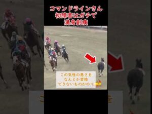【競馬】逆走したコマンドラインさん、ガチでヤバイことに #shorts #競馬 #コマンドライン