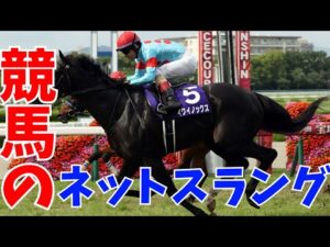 【競馬】意外としらない競馬スラング、いくつ知ってる？