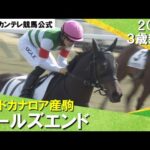 《2024年 新馬》川田騎手「初戦からしっかり内容良く走ってくれました」良血馬ぞろいの一戦はワールズエンドが制す! 2月4日(日)京都芝1600m 実況:川島壮雄【カンテレ公式】