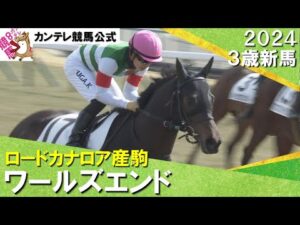 《2024年 新馬》川田騎手「初戦からしっかり内容良く走ってくれました」良血馬ぞろいの一戦はワールズエンドが制す！　2月4日(日)京都芝1600ｍ　実況：川島壮雄【カンテレ公式】