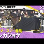 《2024年 新馬》国分優作騎手「バネの強い馬」13番人気テンカジョウが完勝! 2月3日(土)京都ダート1800m 実況:岡安譲【カンテレ公式】