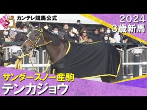 《2024年 新馬》国分優作騎手「バネの強い馬」13番人気テンカジョウが完勝！　2月3日(土)京都ダート1800ｍ　実況：岡安譲【カンテレ公式】