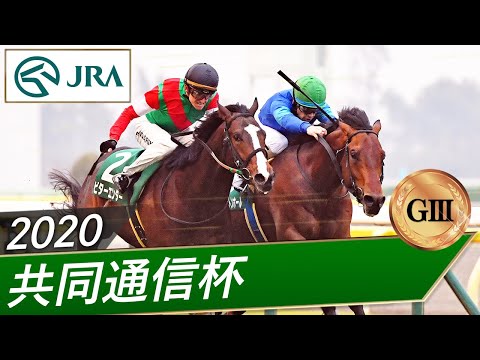 2020年 共同通信杯（GⅢ） | ダーリントンホール | JRA公式