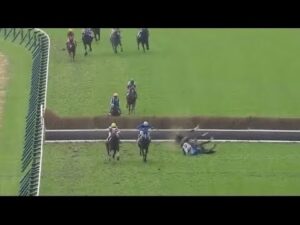 人気馬が障害を飛越後に落馬事故