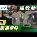 【調教動画】2024年 共同通信杯|JRA公式