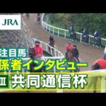 【注目馬 関係者インタビュー】2024年 共同通信杯|JRA公式