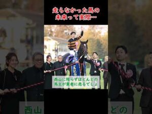 【競馬】走れなかった馬って馬主はどうするの？
