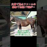 【競馬】「厩舎から火が出ている」馬17頭が…