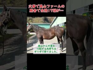 【競馬】「厩舎から火が出ている」馬１７頭が…