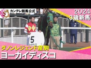 《2024年 新馬》岩田望来騎手「自力でもうひと伸びした」ヨーカイディスコが逃げ切り勝ち！　2月10日(土)京都ダート1200ｍ　実況：石田一洋【カンテレ公式】
