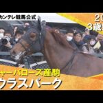 《2024年 新馬》池添騎手「まだまだ良くなりそう…楽しみがもてる馬」ガウラスパークが2番手から抜け出してV! 2月11日(日)京都ダート1800m 実況:川島壮雄【カンテレ公式】