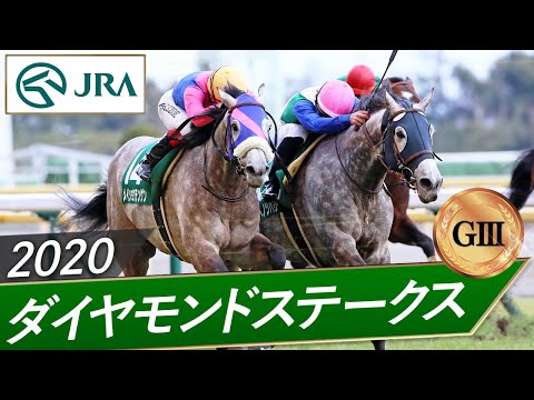 2020年 ダイヤモンドステークス（GⅢ） | ミライヘノツバサ | JRA公式