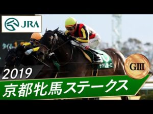 2019年 京都牝馬ステークス(GⅢ) | デアレガーロ | JRA公式